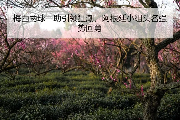 mei-xi-liang-qiu-yi-zhu-yin-ling-kuang-chao-a-gen-ting-xiao-zu-tou-ming-qiang-shi-hui-yong-1-364.jpg